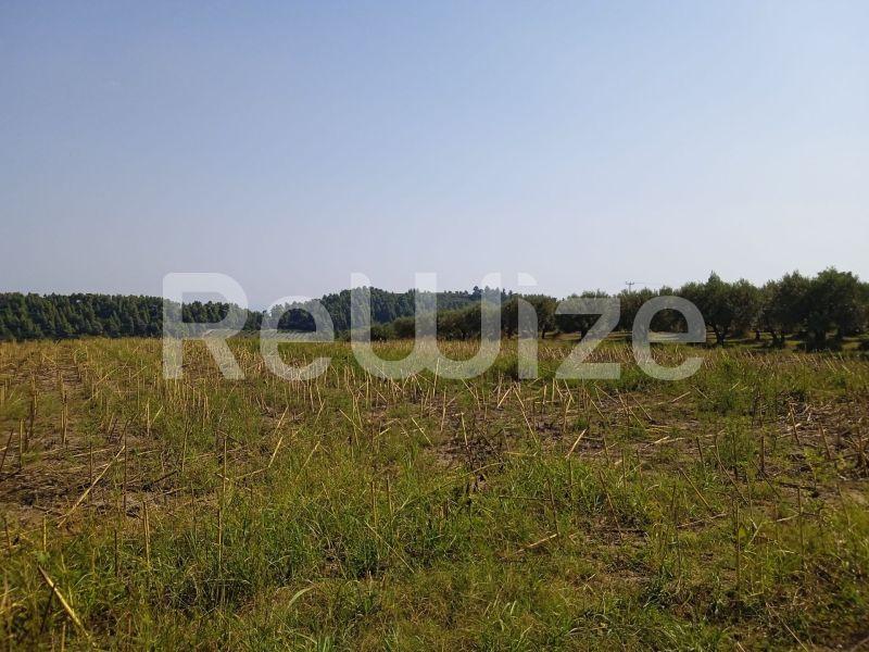 Photo 5,Τοπίο,ΠΏΛΗΣΗ,Γη,Αγροτεμάχιο,10000τ.μ,€160,000,Κρυοπηγή