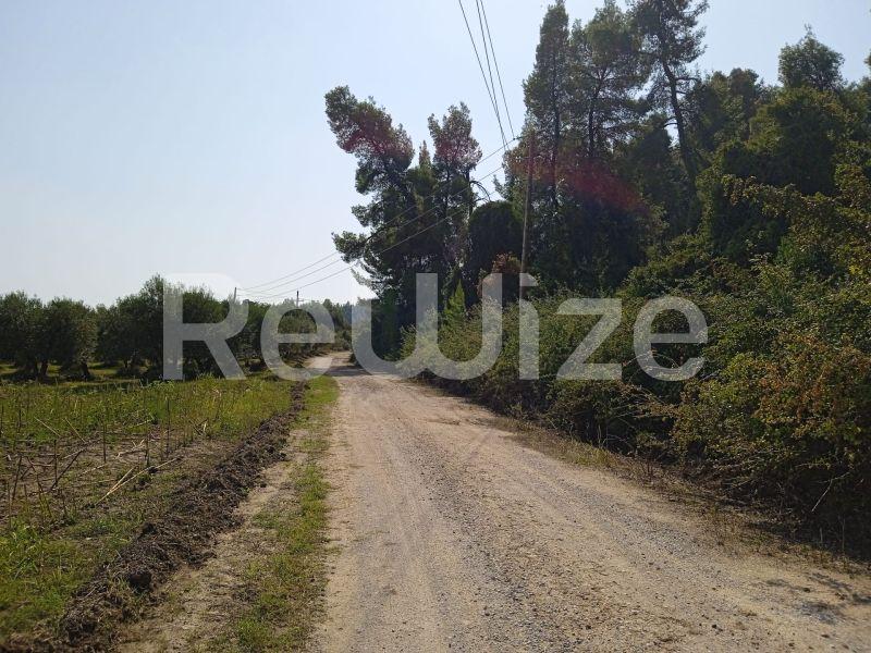 Photo 4,Τοπίο,ΠΏΛΗΣΗ,Γη,Αγροτεμάχιο,10000τ.μ,€160,000,Κρυοπηγή