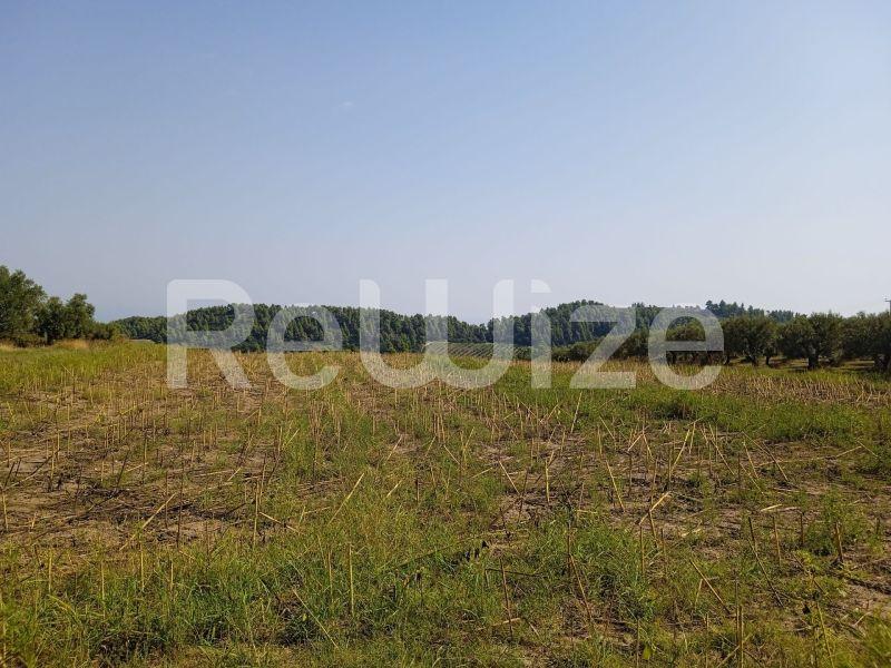 Photo 7,Τοπίο,ΠΏΛΗΣΗ,Γη,Αγροτεμάχιο,10000τ.μ,€160,000,Κρυοπηγή