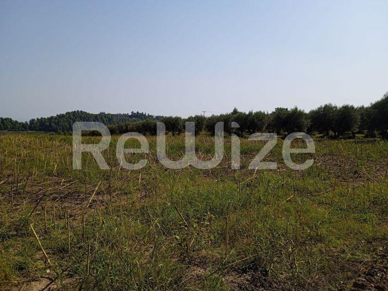 Photo 10,Τοπίο,ΠΏΛΗΣΗ,Γη,Αγροτεμάχιο,10000τ.μ,€160,000,Κρυοπηγή