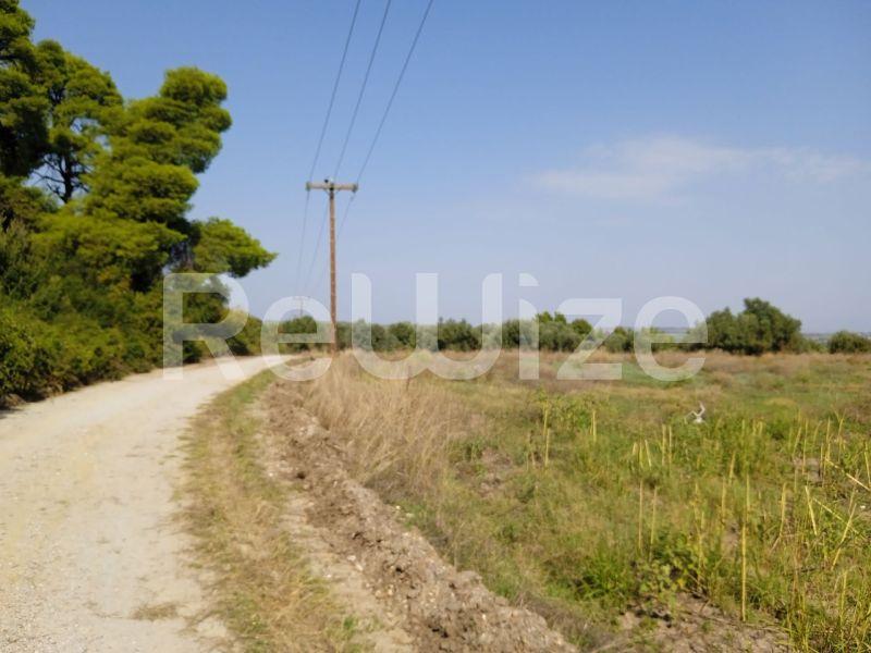 Photo 6,Τοπίο,ΠΏΛΗΣΗ,Γη,Αγροτεμάχιο,10000τ.μ,€160,000,Κρυοπηγή