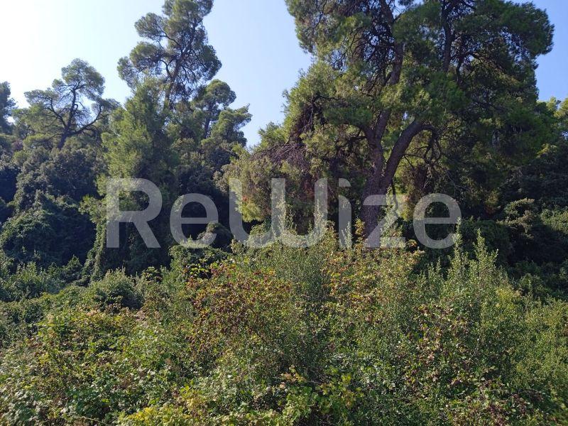 Photo 12,Τοπίο,ΠΏΛΗΣΗ,Γη,Αγροτεμάχιο,10000τ.μ,€160,000,Κρυοπηγή