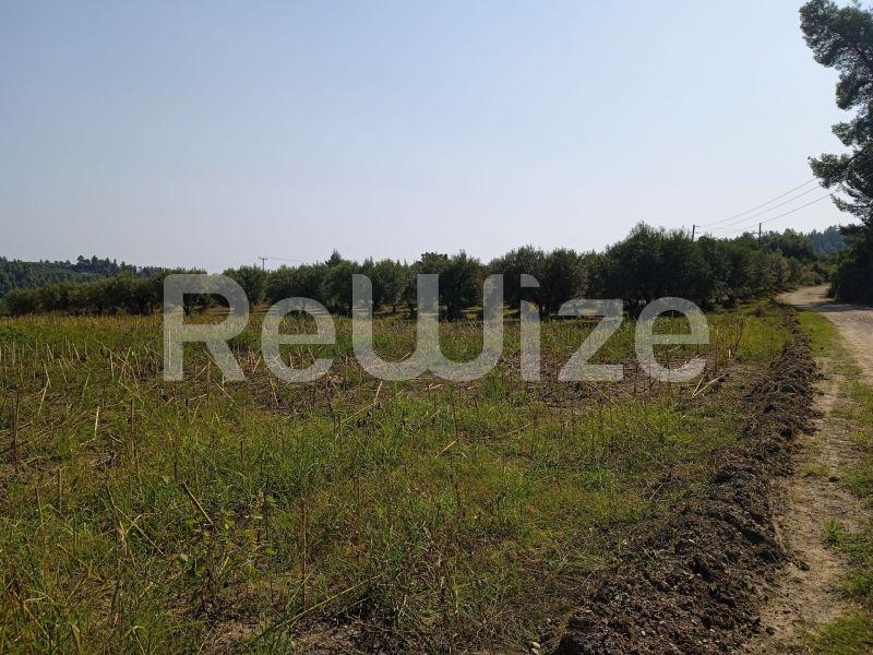 Photo 3,Τοπίο,ΠΏΛΗΣΗ,Γη,Αγροτεμάχιο,10000τ.μ,€160,000,Κρυοπηγή