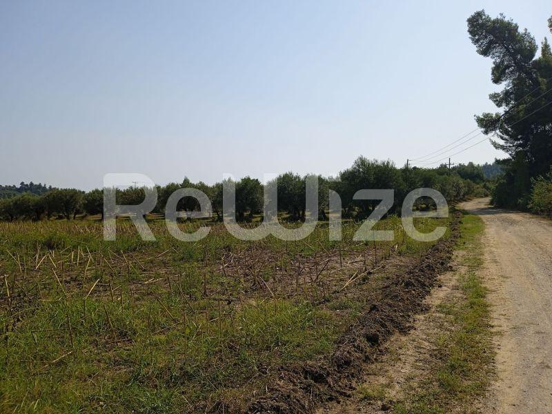 Photo 14,Τοπίο,ΠΏΛΗΣΗ,Γη,Αγροτεμάχιο,10000τ.μ,€160,000,Κρυοπηγή