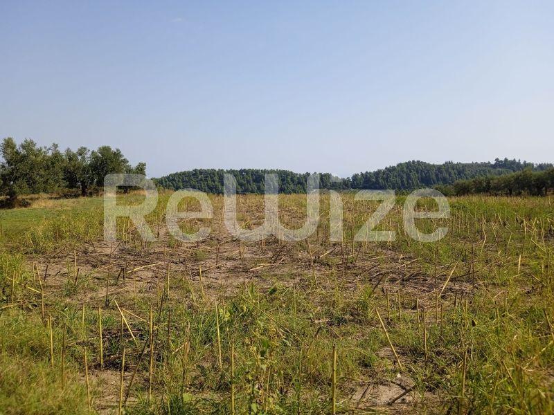 Photo 9,Τοπίο,ΠΏΛΗΣΗ,Γη,Αγροτεμάχιο,10000τ.μ,€160,000,Κρυοπηγή