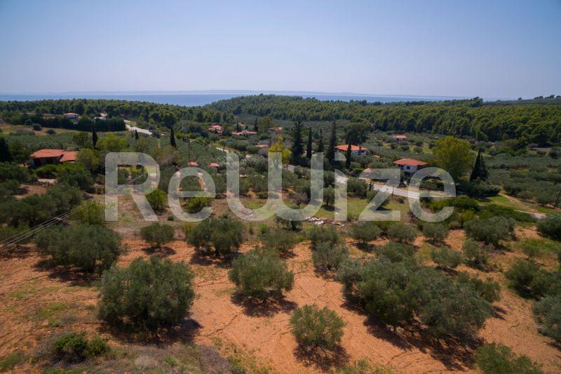 Photo 1,Τοπίο,ΠΏΛΗΣΗ,Γη,Αγροτεμάχιο,3675τ.μ,€80,000,Μεταμόρφωση