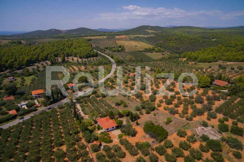 Photo 7,Τοπίο,ΠΏΛΗΣΗ,Γη,Αγροτεμάχιο,3675τ.μ,€80,000,Μεταμόρφωση