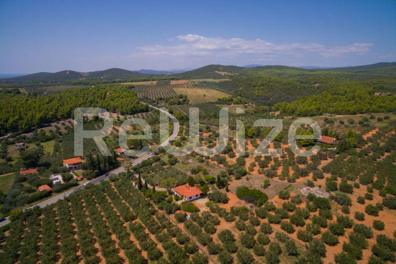 Photo 2,Τοπίο,ΠΏΛΗΣΗ,Γη,Αγροτεμάχιο,3675τ.μ,€80,000,Μεταμόρφωση