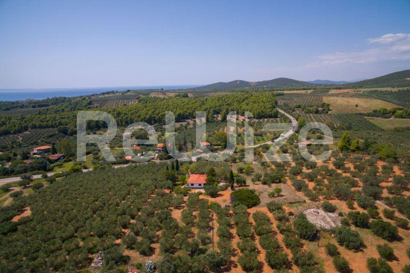 Photo 9,Τοπίο,ΠΏΛΗΣΗ,Γη,Αγροτεμάχιο,3675τ.μ,€80,000,Μεταμόρφωση