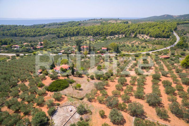 Photo 11,Τοπίο,ΠΏΛΗΣΗ,Γη,Αγροτεμάχιο,3675τ.μ,€80,000,Μεταμόρφωση
