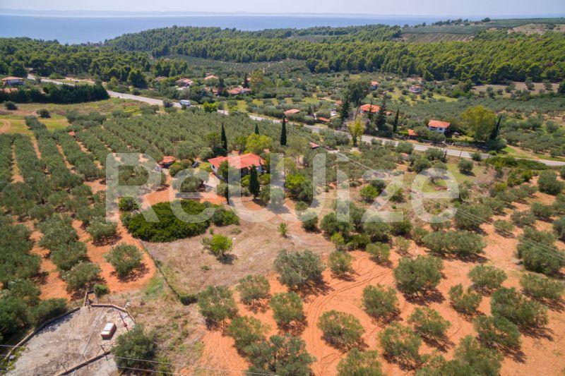Photo 12,Τοπίο,ΠΏΛΗΣΗ,Γη,Αγροτεμάχιο,3675τ.μ,€80,000,Μεταμόρφωση