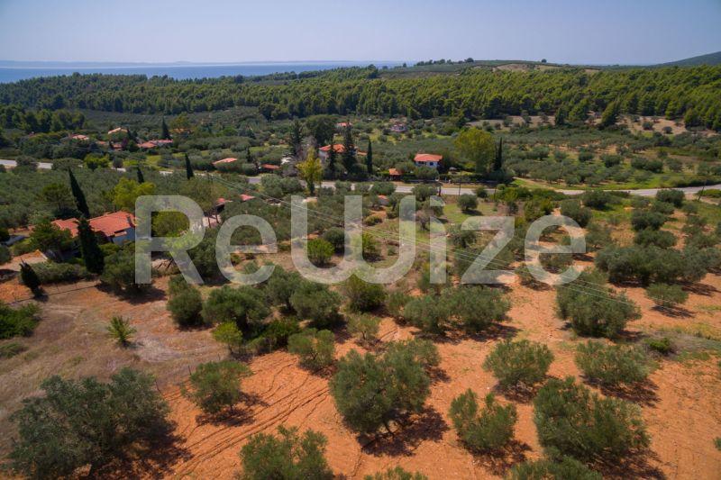 Photo 13,Τοπίο,ΠΏΛΗΣΗ,Γη,Αγροτεμάχιο,3675τ.μ,€80,000,Μεταμόρφωση