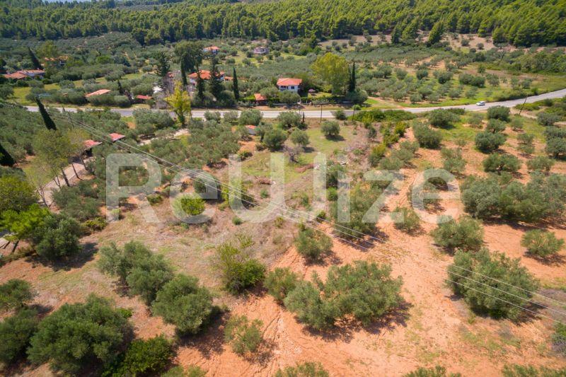Photo 15,Τοπίο,ΠΏΛΗΣΗ,Γη,Αγροτεμάχιο,3675τ.μ,€80,000,Μεταμόρφωση