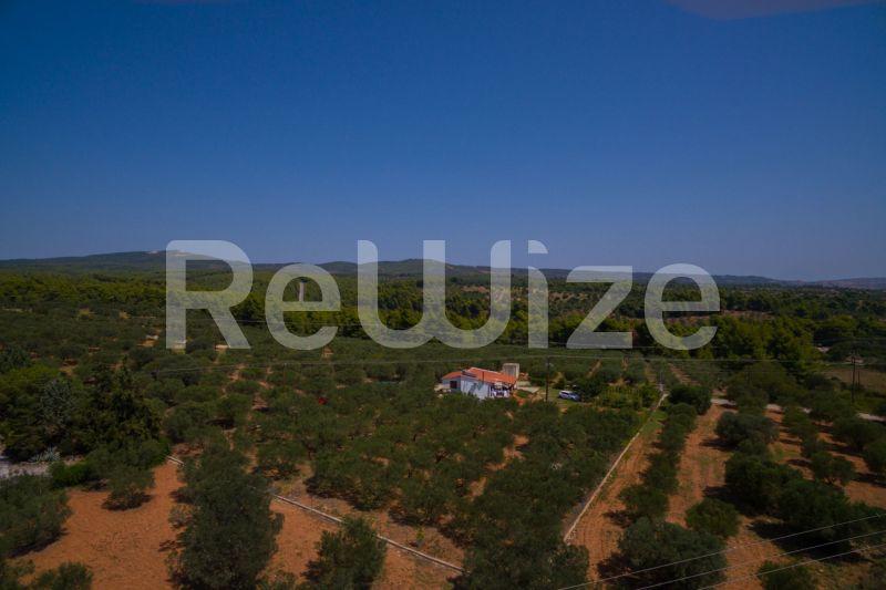 Photo 17,Τοπίο,ΠΏΛΗΣΗ,Γη,Αγροτεμάχιο,3675τ.μ,€80,000,Μεταμόρφωση