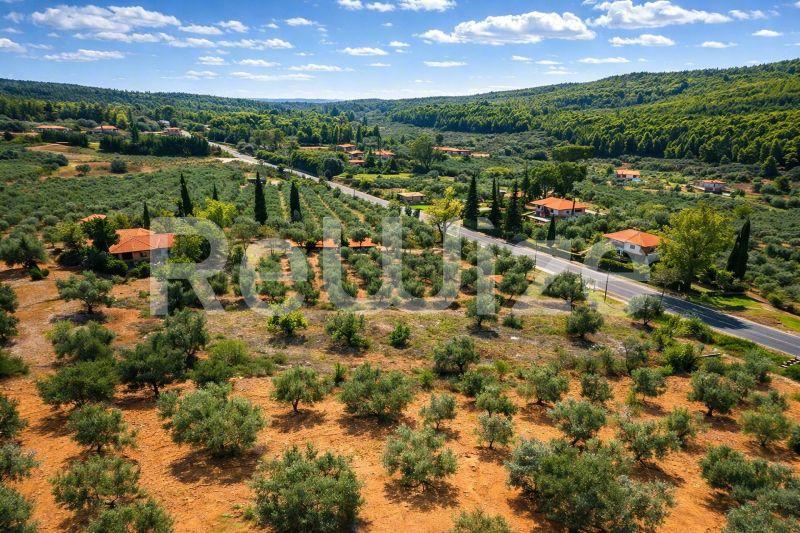 Field 3675 m² in Sithonia, photo 3