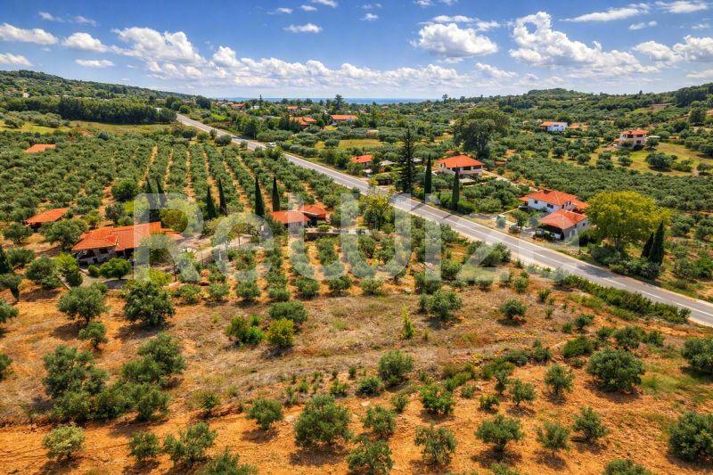 Field 3675 m² in Sithonia, photo 6