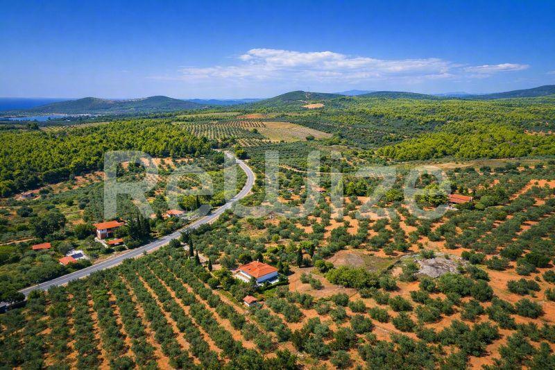 Field 3675 m² in Sithonia, photo 7