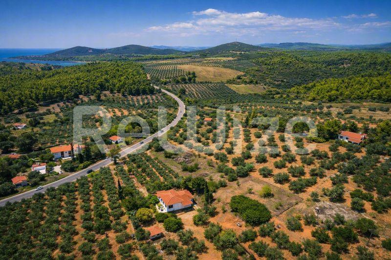 Field 3675 m² in Sithonia, photo 9