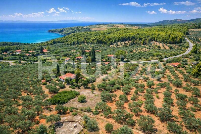 Field 3675 m² in Sithonia, photo 10