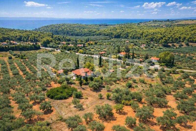 Field 3675 m² in Sithonia, photo 12