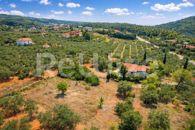 Field 3675 m² in Sithonia, photo 14