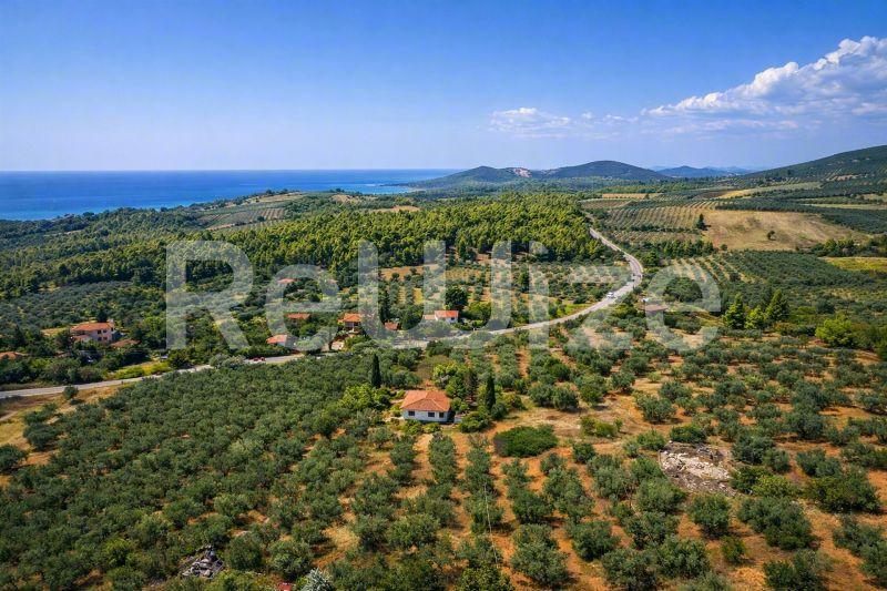 Field 3675 m² in Sithonia, photo 15