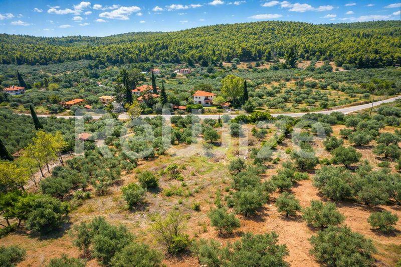 Field 3675 m² in Sithonia, photo 16