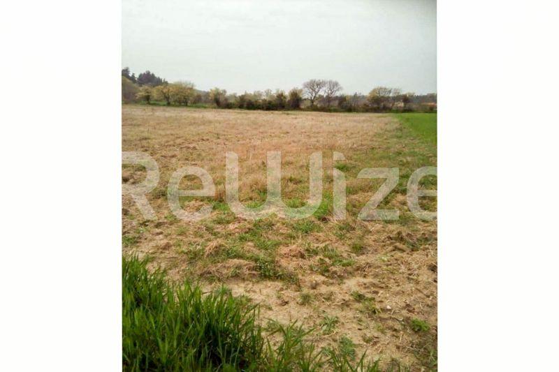 Photo 5,Εξωτερική,ΠΏΛΗΣΗ,Γη,Αγροτεμάχιο,5100τ.μ,€70,000,Σίβηρη