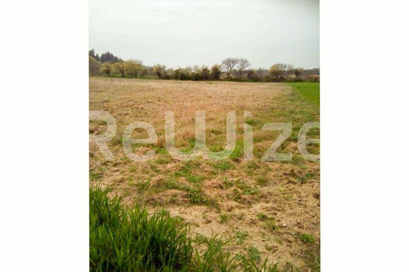 Photo 11,Πανοραμική Θέα,ΠΏΛΗΣΗ,Γη,Αγροτεμάχιο,5100τ.μ,€70,000,Σίβηρη