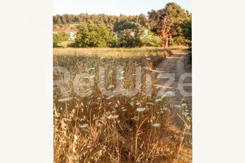 Photo 12,Εξωτερική,ΠΏΛΗΣΗ,Γη,Αγροτεμάχιο,5100τ.μ,€70,000,Σίβηρη