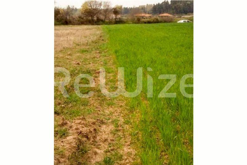 Photo 6,Εξωτερική,ΠΏΛΗΣΗ,Γη,Αγροτεμάχιο,5100τ.μ,€70,000,Σίβηρη