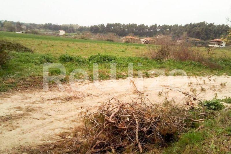 Photo 14,Εξωτερική,ΠΏΛΗΣΗ,Γη,Αγροτεμάχιο,5100τ.μ,€70,000,Σίβηρη