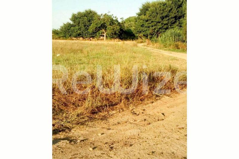 Photo 2,Εξωτερική,ΠΏΛΗΣΗ,Γη,Αγροτεμάχιο,5100τ.μ,€70,000,Σίβηρη