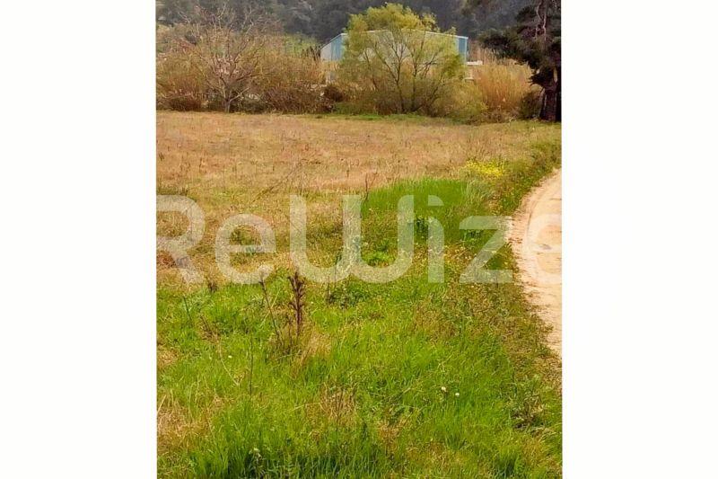 Photo 4,Εξωτερική,ΠΏΛΗΣΗ,Γη,Αγροτεμάχιο,5100τ.μ,€70,000,Σίβηρη