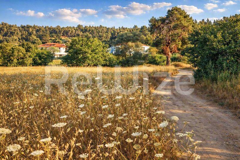 Αγροτεμάχιο 5100 τ.μ. στην Κασσάνδρα, φωτογραφία 1