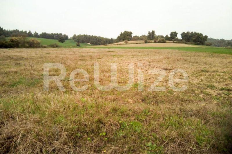 Photo 3,Εξωτερική,ΠΏΛΗΣΗ,Γη,Αγροτεμάχιο,5100τ.μ,€70,000,Σίβηρη