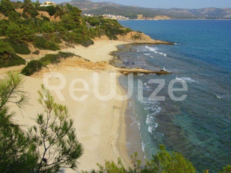 Photo 3,,SALE,Land,Field,4500sqm,€70,000,Ierissos