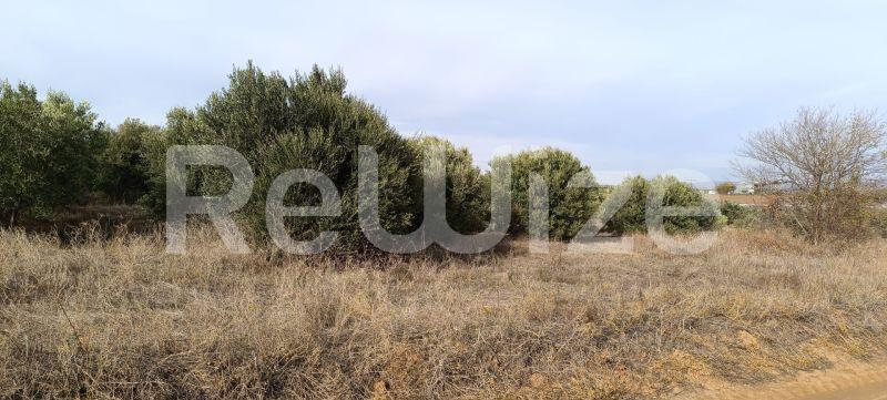 Photo 5,Outside,SALE,Land,Field,4000sqm,€70,000,Flogita