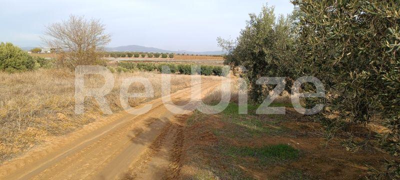 Photo 6,Outside,SALE,Land,Field,4000sqm,€70,000,Flogita