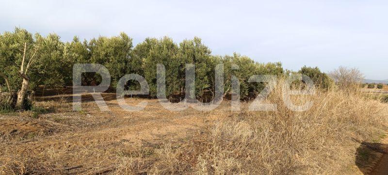 Photo 1,Outside,SALE,Land,Field,4000sqm,€70,000,Flogita