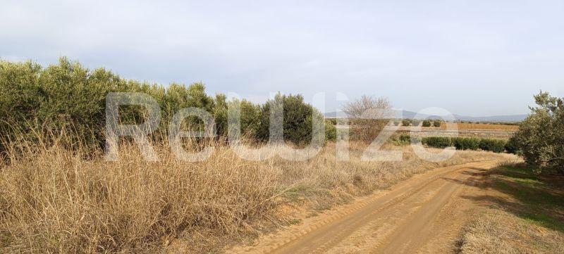 Photo 2,Outside,SALE,Land,Field,4000sqm,€70,000,Flogita