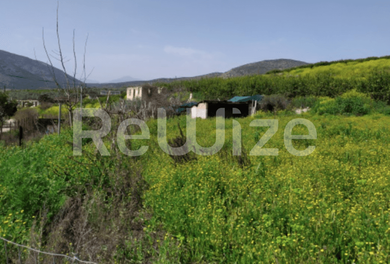 Αγροτεμάχιο 57478 τ.μ. στο Άργος-Μυκήνες, φωτογραφία 8