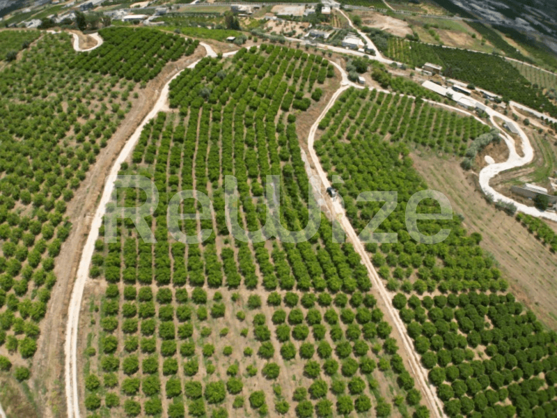 Αγροτεμάχιο 57478 τ.μ. στο Άργος-Μυκήνες, φωτογραφία 2