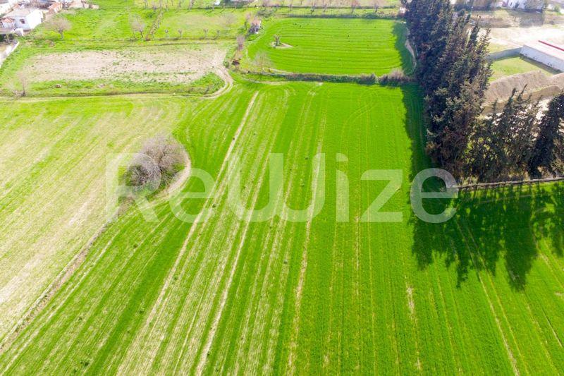 Photo 12,Outside,SALE,Land,Plot,1674sqm,€75,000,Kalandra