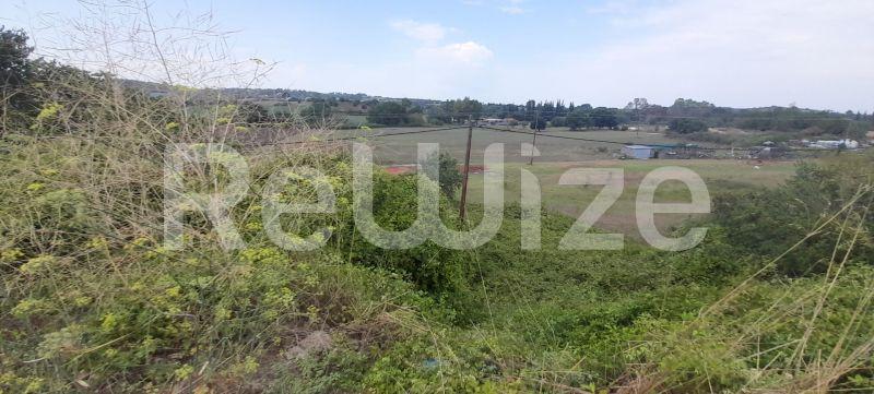 Photo 3,Τοπίο,ΠΏΛΗΣΗ,Γη,Αγροτεμάχιο,3960τ.μ,€100,000,Κασσάνδρεια