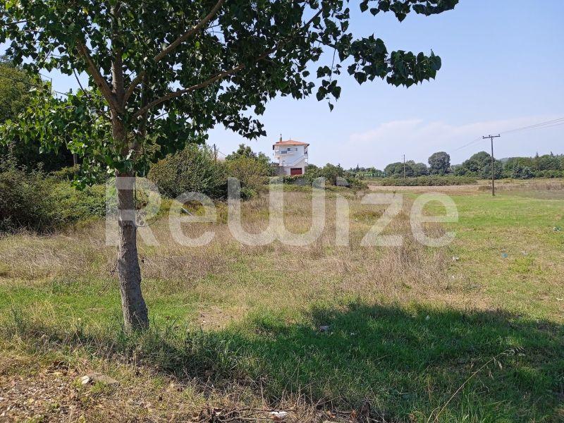 Photo 24,Τοπίο,ΠΏΛΗΣΗ,Γη,Αγροτεμάχιο,3960τ.μ,€100,000,Κασσάνδρεια