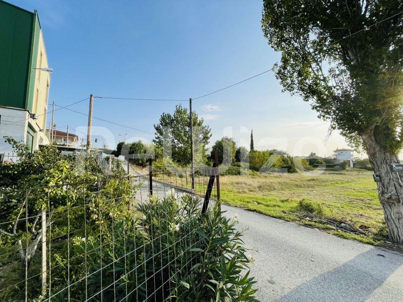 Photo 12,Τοπίο,ΠΏΛΗΣΗ,Γη,Αγροτεμάχιο,3960τ.μ,€100,000,Κασσάνδρεια