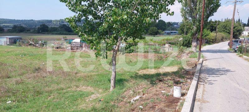 Photo 16,Τοπίο,ΠΏΛΗΣΗ,Γη,Αγροτεμάχιο,3960τ.μ,€100,000,Κασσάνδρεια