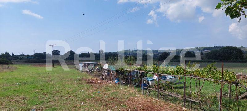 Photo 9,Τοπίο,ΠΏΛΗΣΗ,Γη,Αγροτεμάχιο,3960τ.μ,€100,000,Κασσάνδρεια