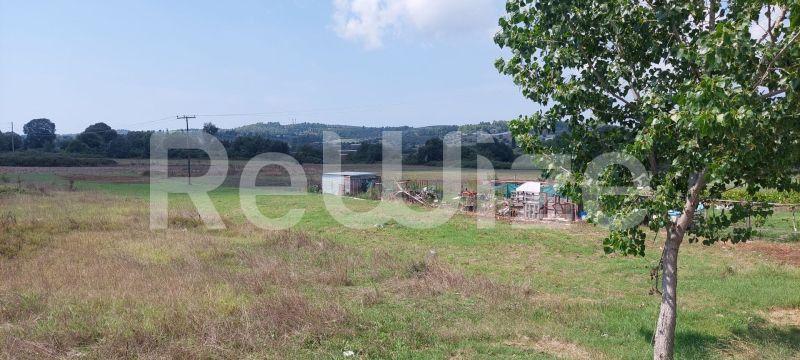 Photo 8,Τοπίο,ΠΏΛΗΣΗ,Γη,Αγροτεμάχιο,3960τ.μ,€100,000,Κασσάνδρεια